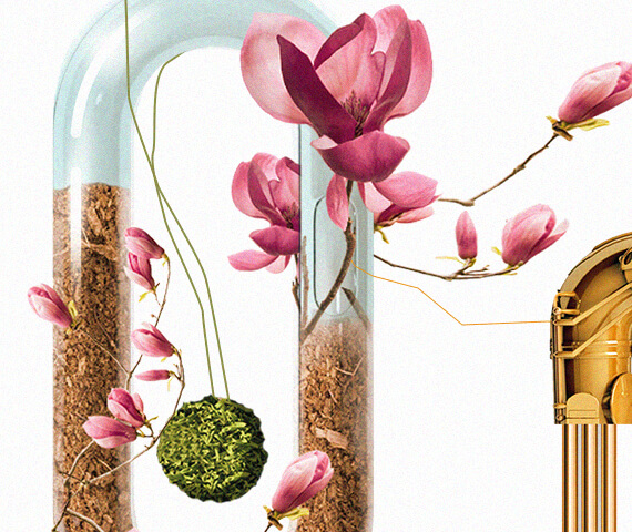 PONAVA Festival – Identita